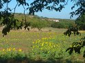 2016-09-21 11-05-36 Le Causse de Beduer MBo